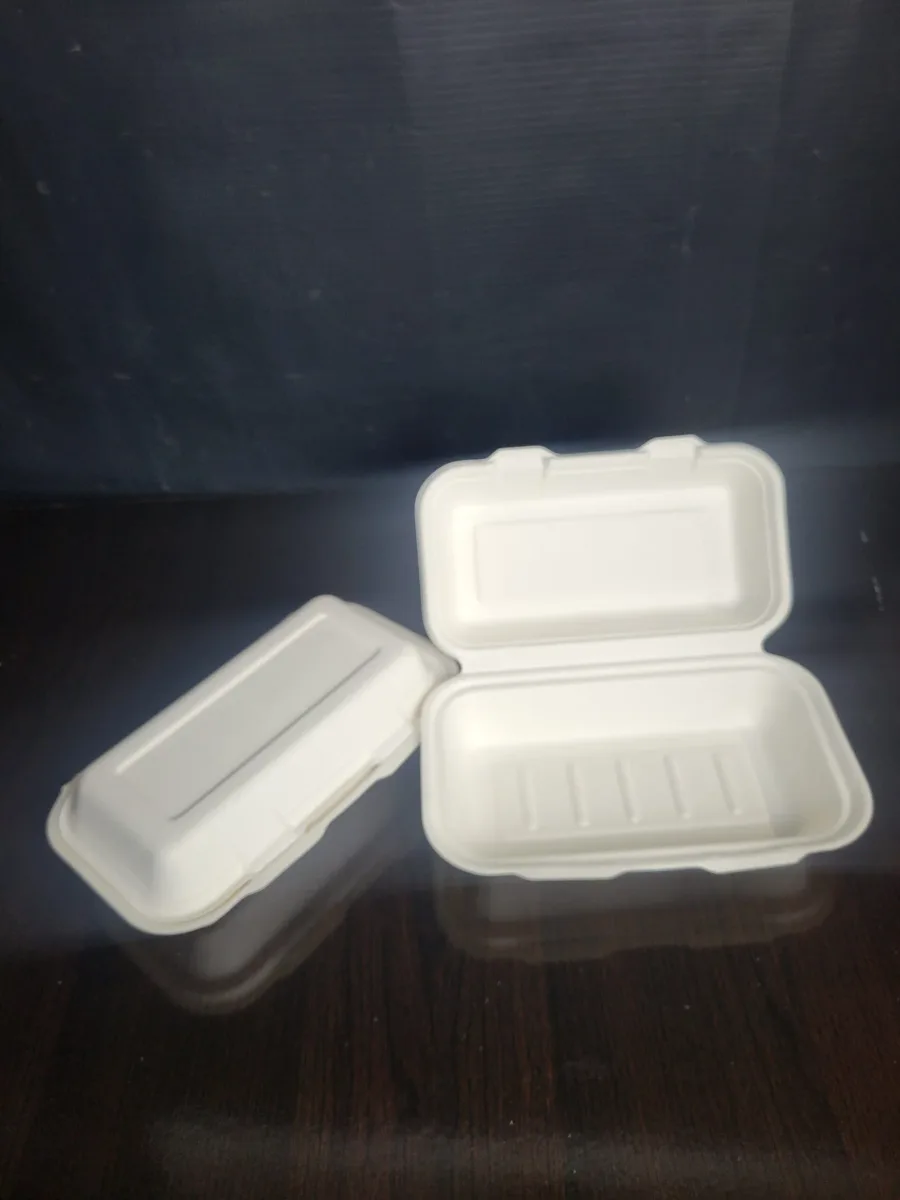 Small Bagasse Food Plate