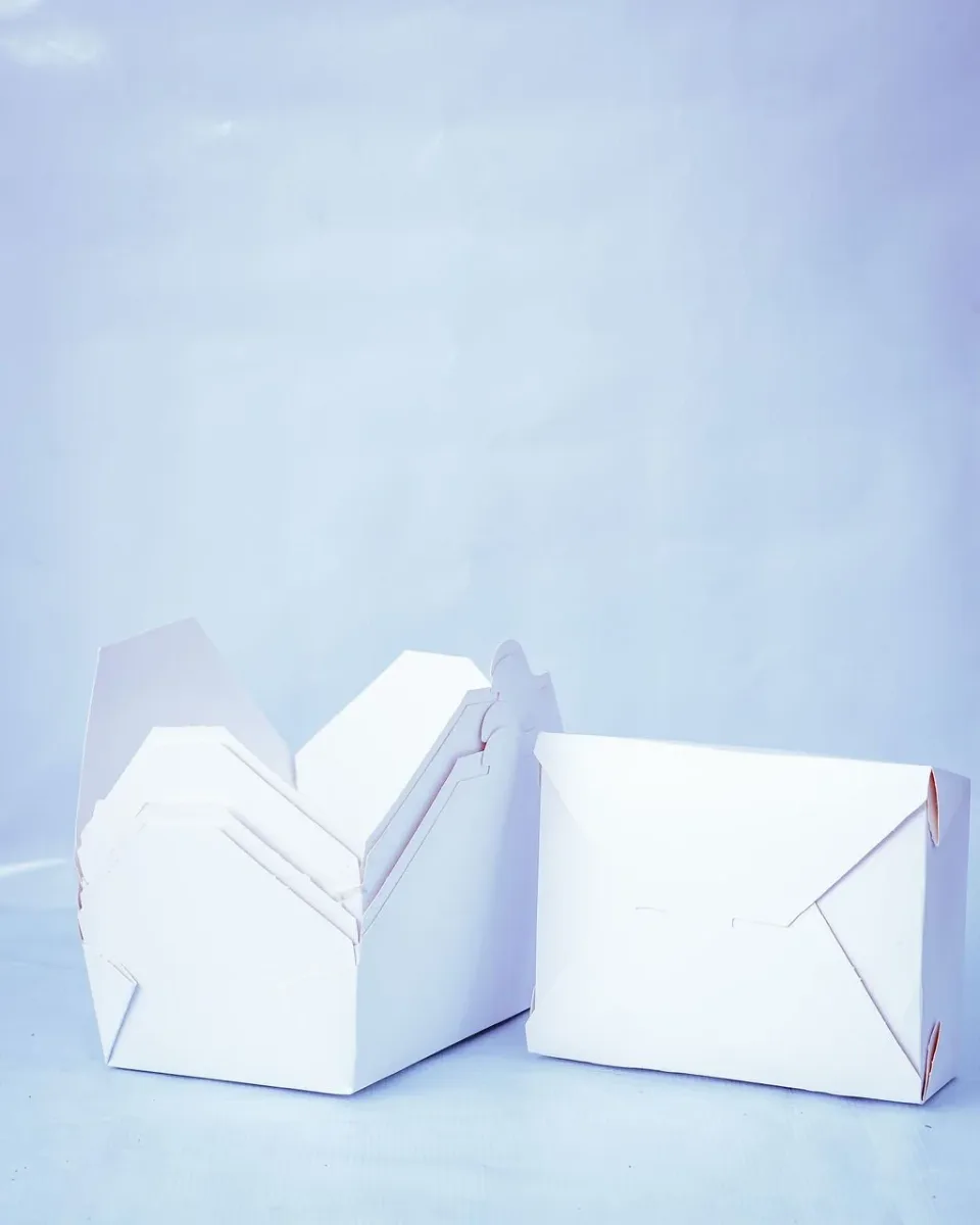 White Lunch Pack thumbnail 2