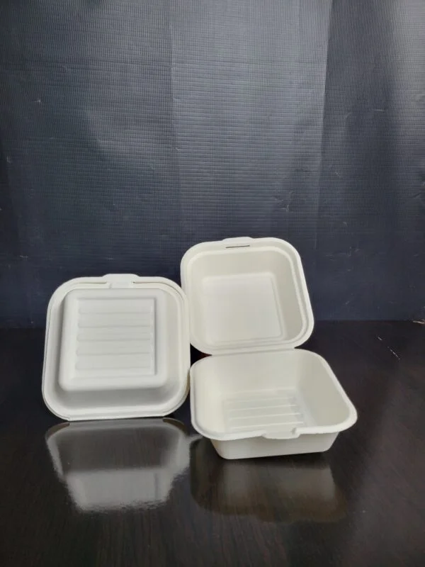Bagasse Bento Cake Box thumbnail 2