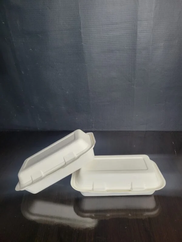 Small Bagasse Food Plate thumbnail 2