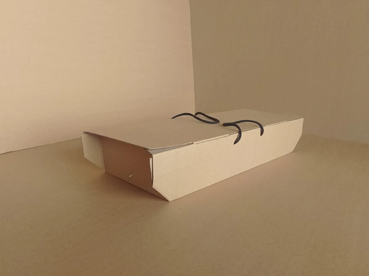 Large Kraft (Brown) Corrugated Fish Pack