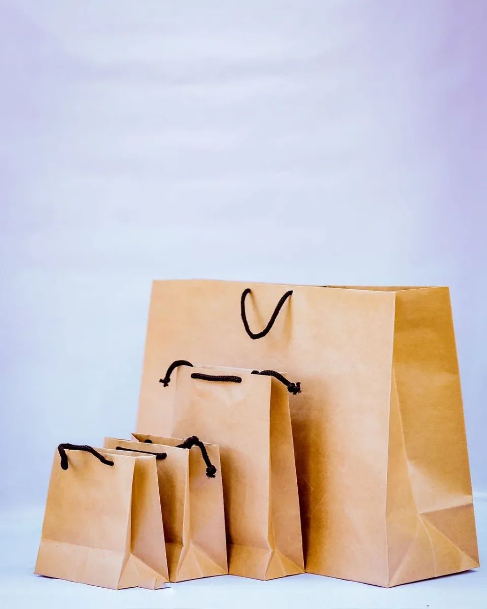 Large-A2 Kraft (Brown) Gift Bag (Rope Handle) thumbnail 2